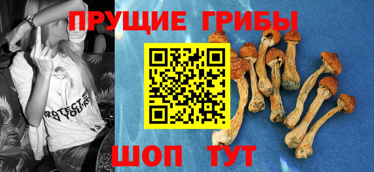 Псилоцибиновые грибы MAGIC MUSHROOMS Ревда